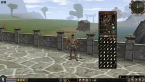Metin2 Level Guide